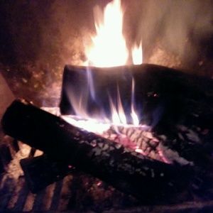 Meet your Posher, Darleene